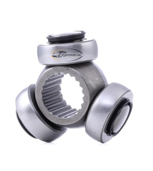 رمان راس عكس داخلي بيجو