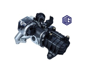 EGR Valve and Cooler 2.0 hdi