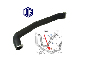 Intercooler Turbo Hose 2.0 HDI