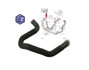 Intercooler Hose Turbo Expert