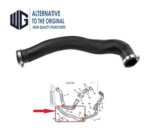 Intercooler Turbo Hose 2.0 HDI