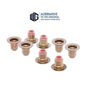 1.6 Valve Seal HDI